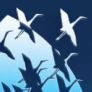 Витраж на окне Kaleva